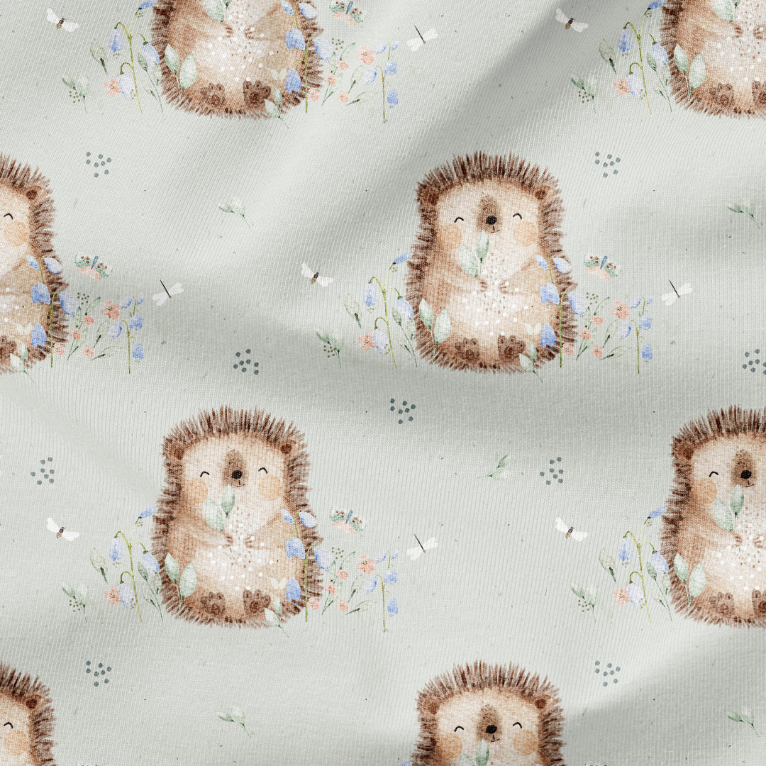LONNIE THE SPRING HEDGEHOG