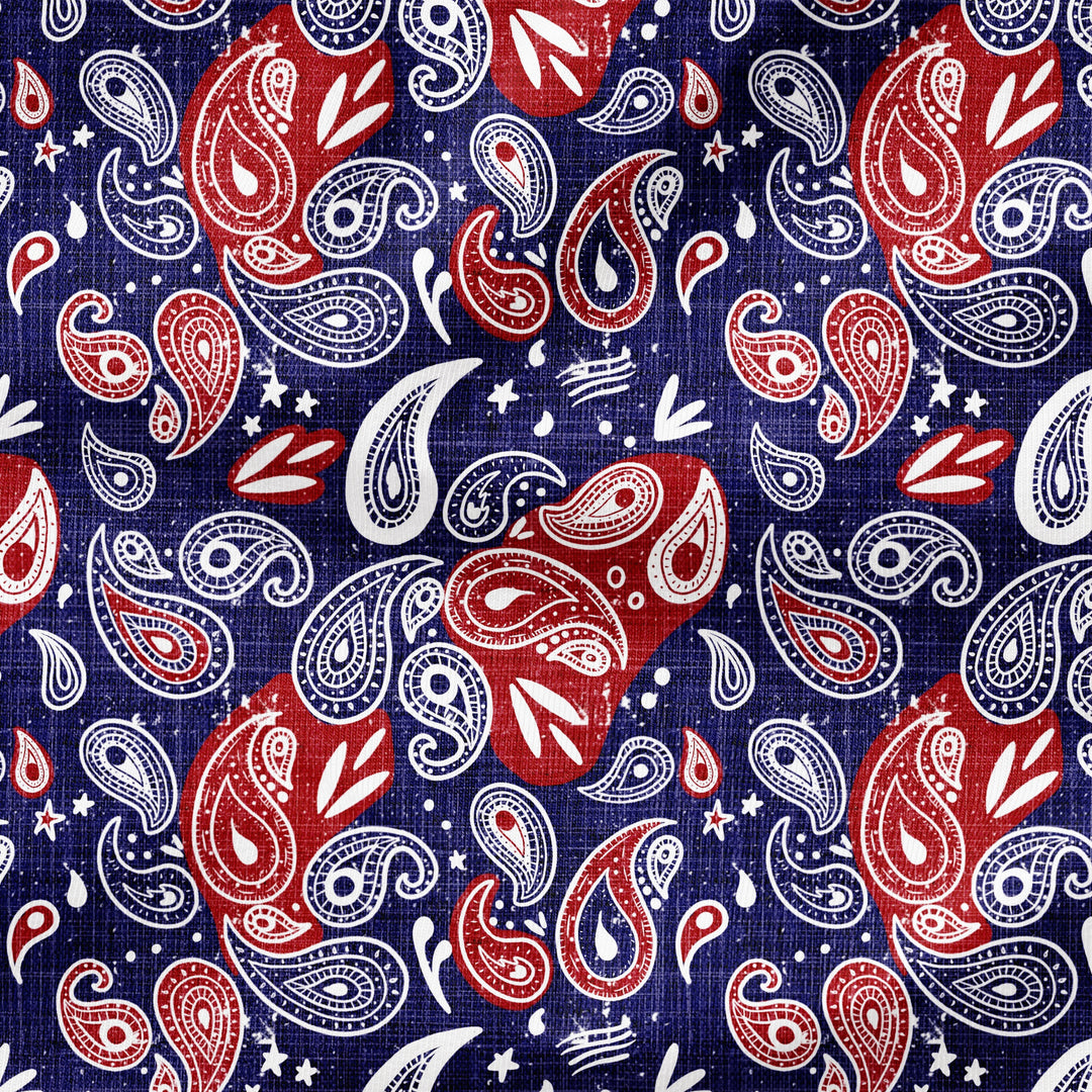 4TH OF JULY PAISLEY