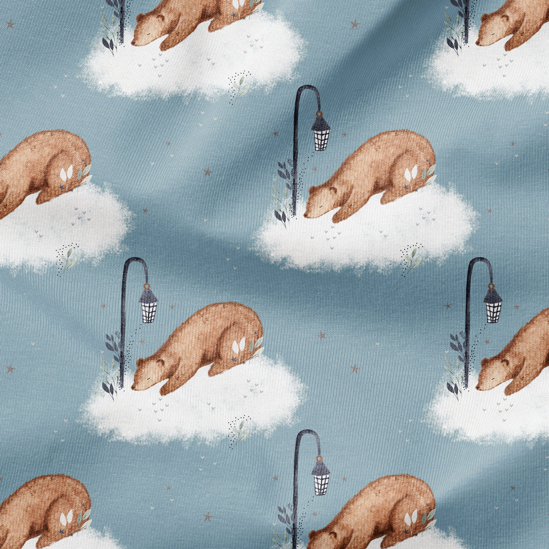 ROMAN THE BEAR IN THE CLOUDS