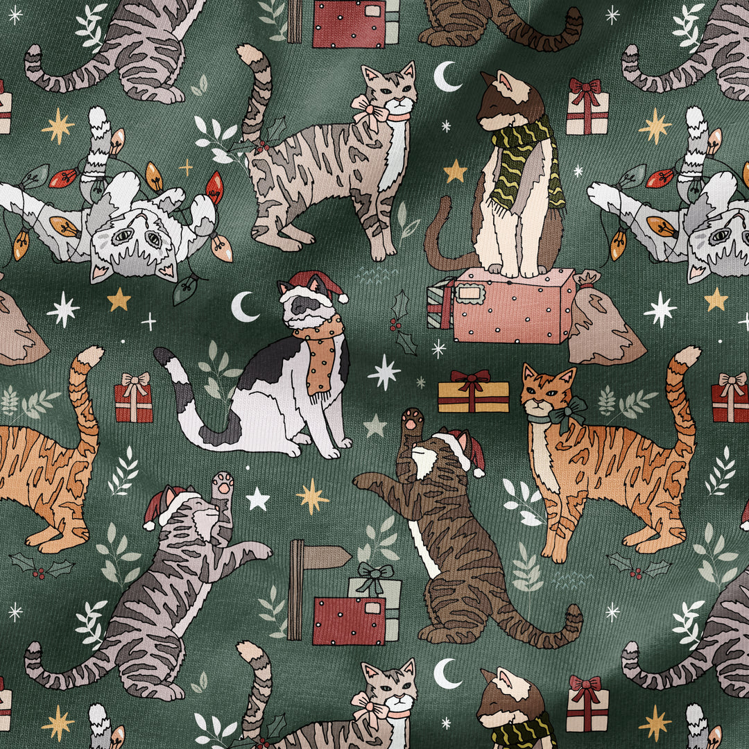 SANTA CLAWS