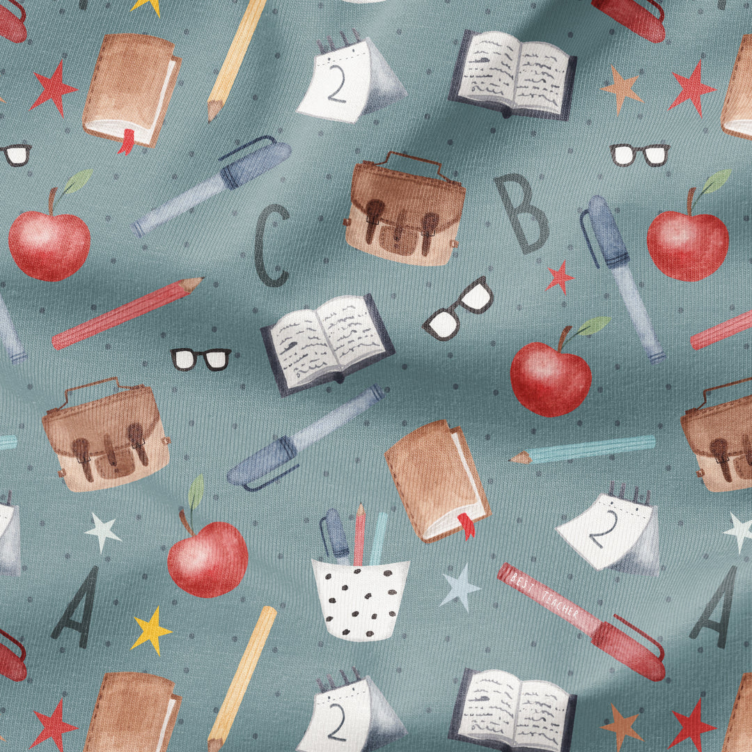 SCHOOL TEACHER
