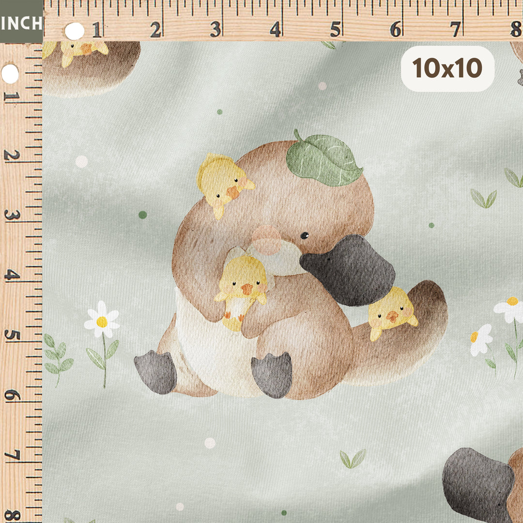 SPRING PLATYPUS & DUCKLINGS