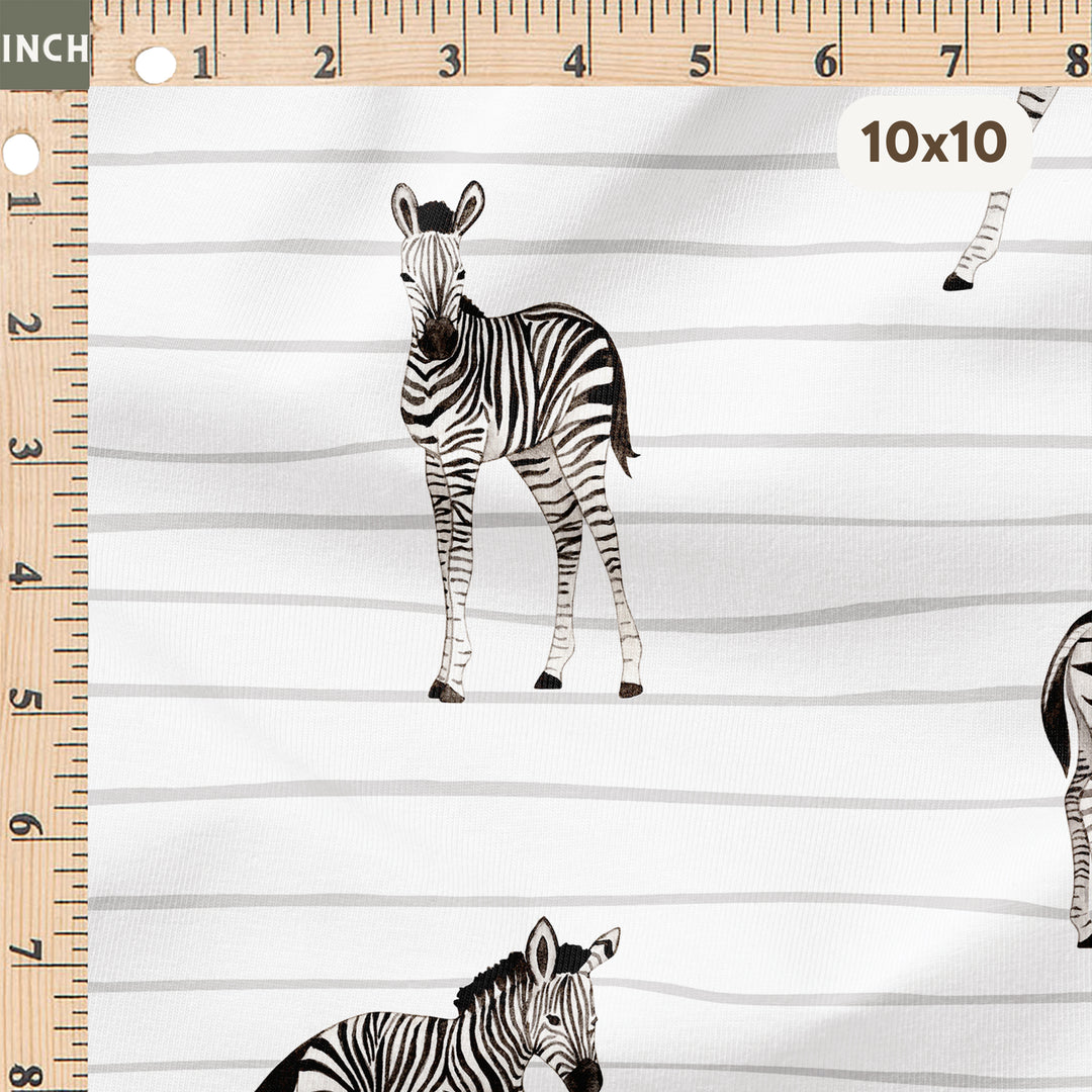 BABY ZEBRA