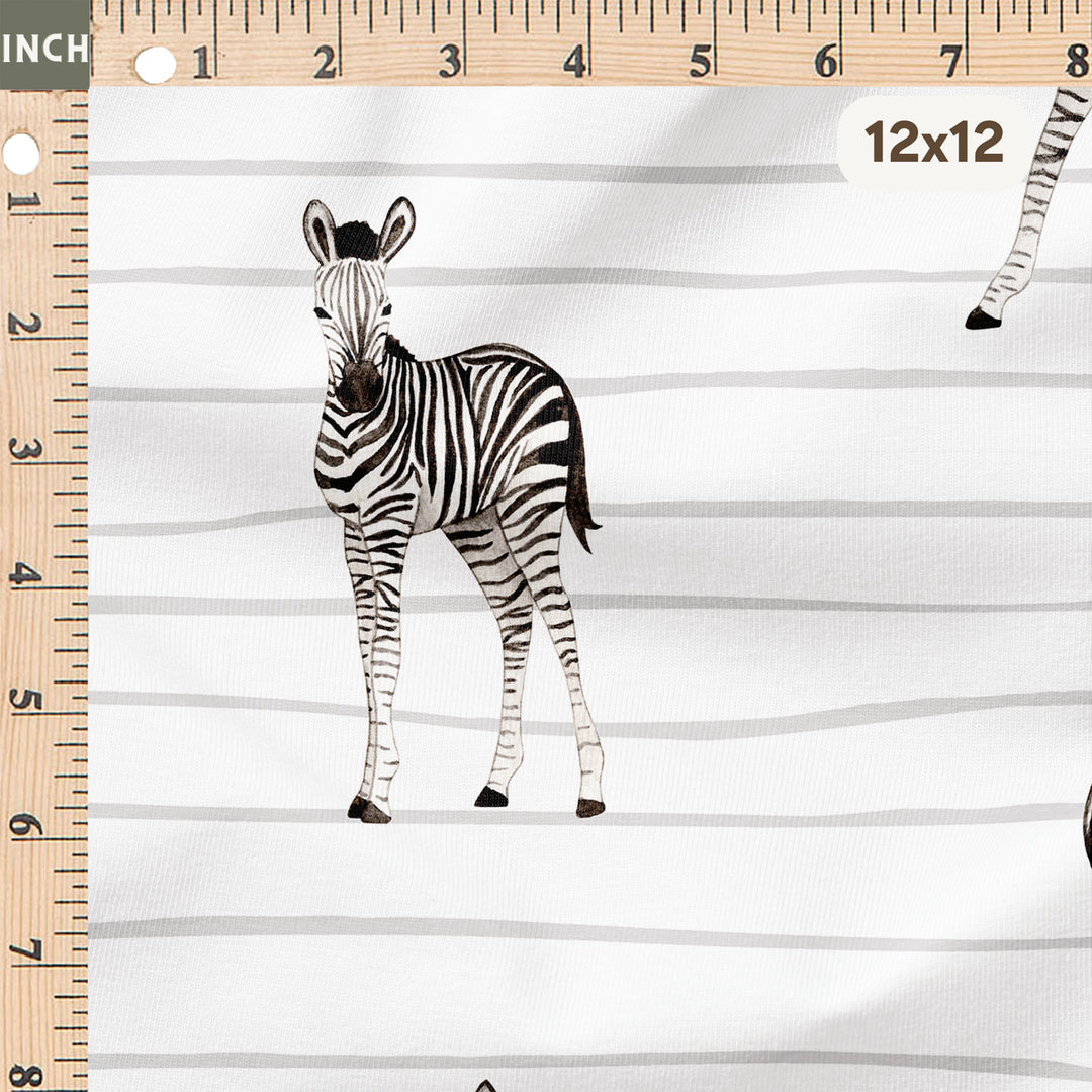 BABY ZEBRA
