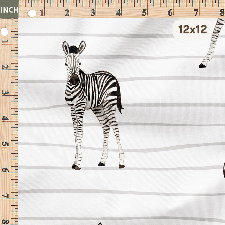 BABY ZEBRA