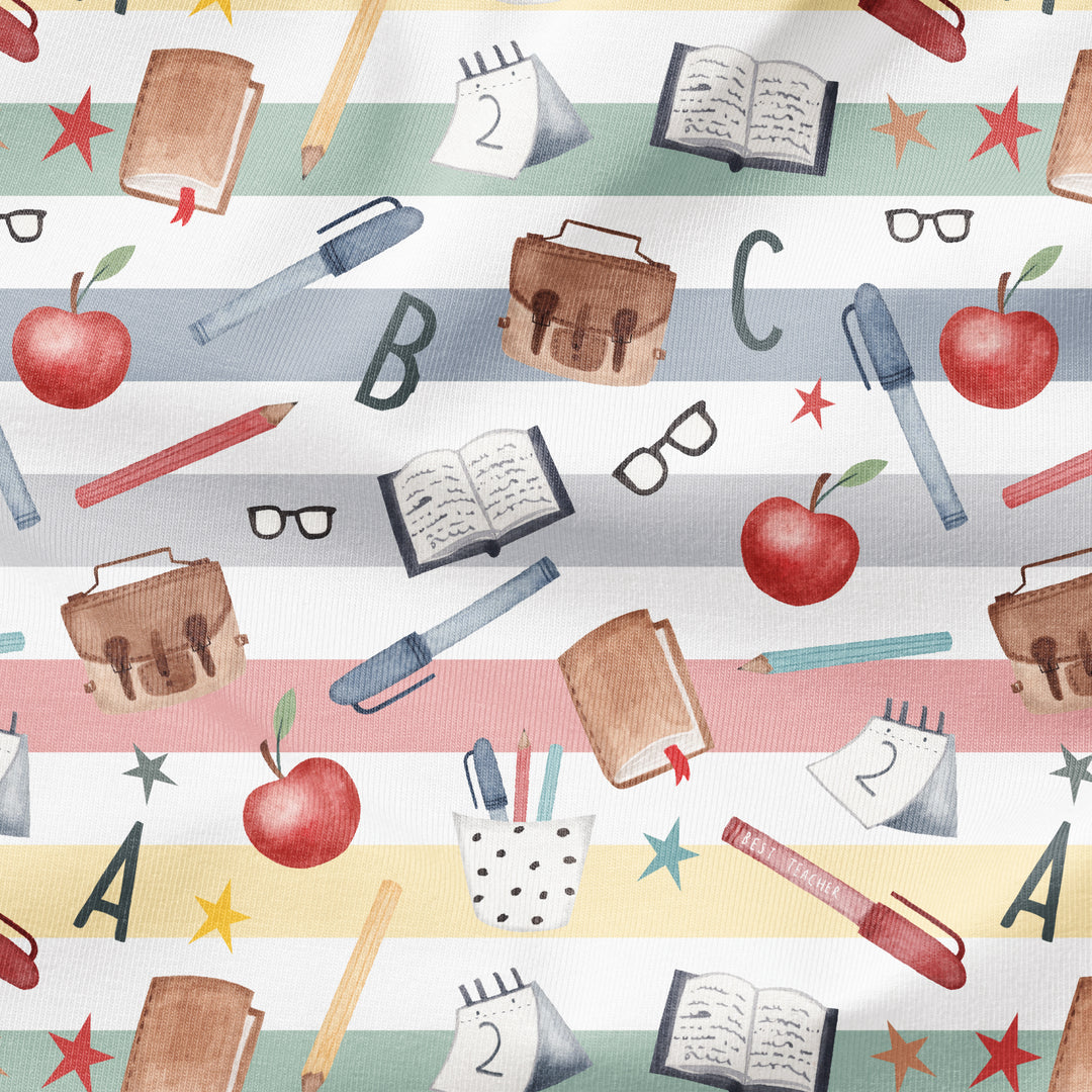 SCHOOL TEACHER