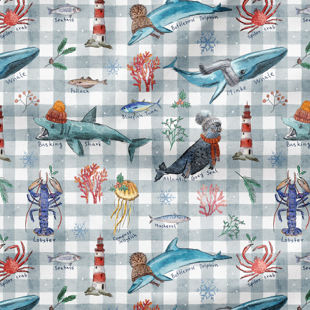 BRITISH SEA ANIMALS