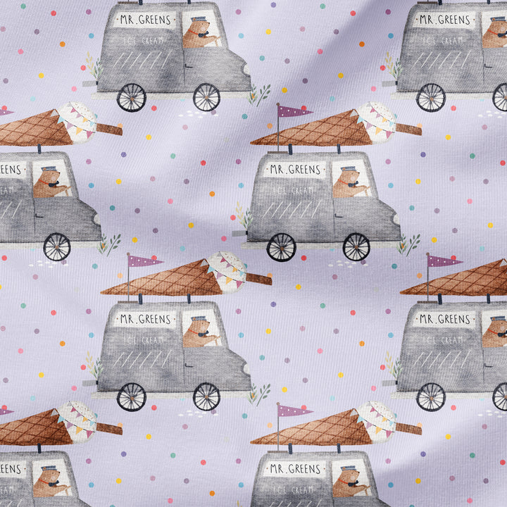 MR.GREENS ICE CREAM TRUCK