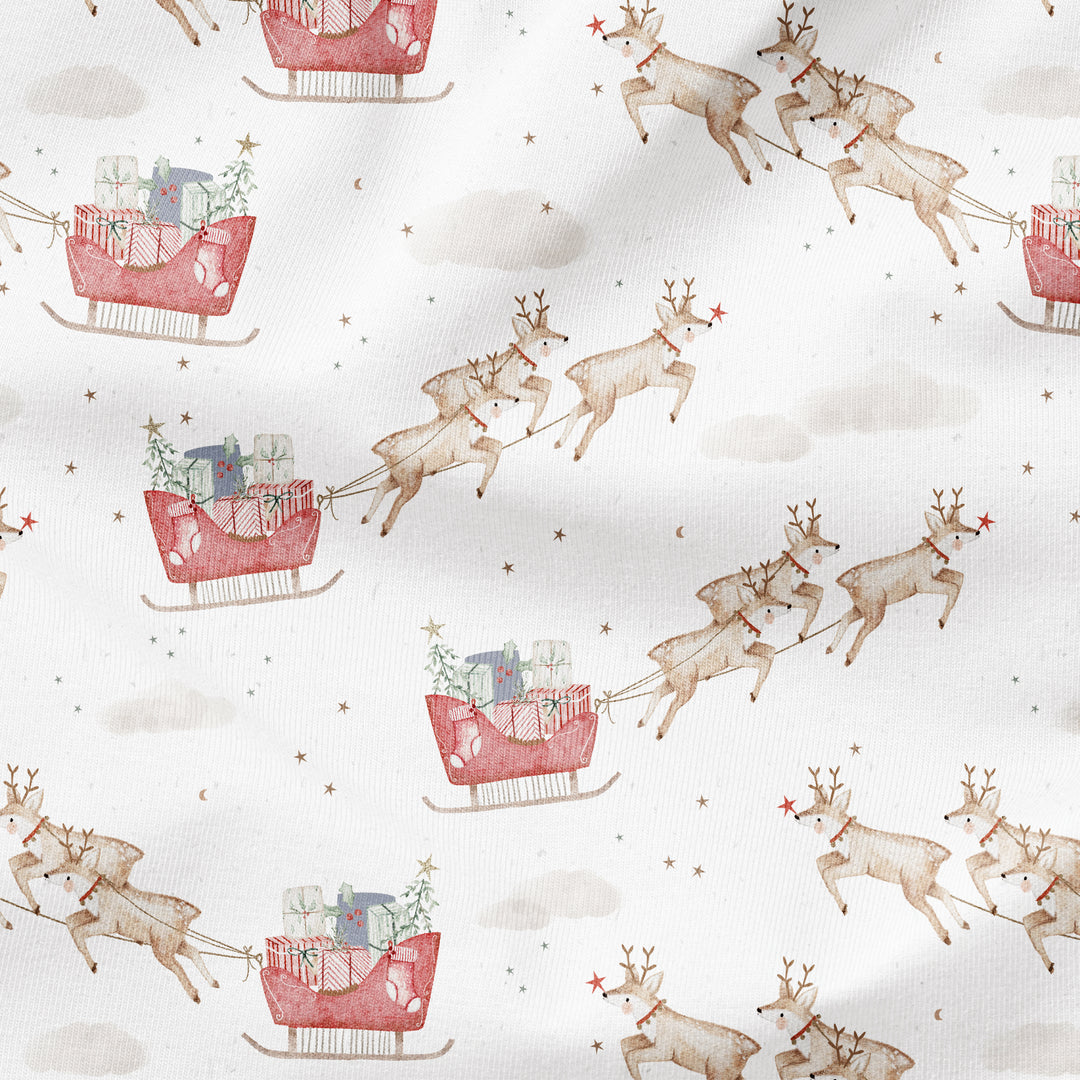 SANTA'S REINDEER