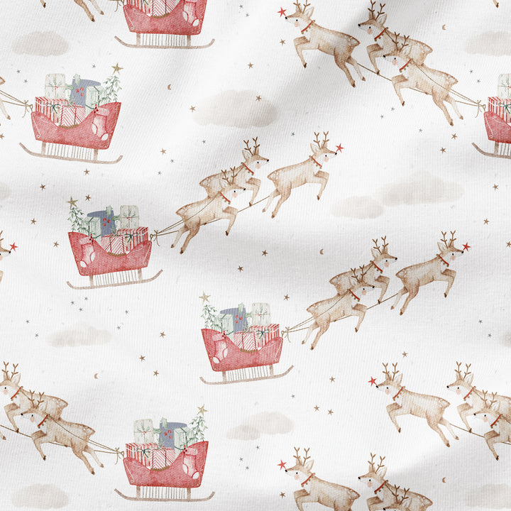 SANTA'S REINDEER