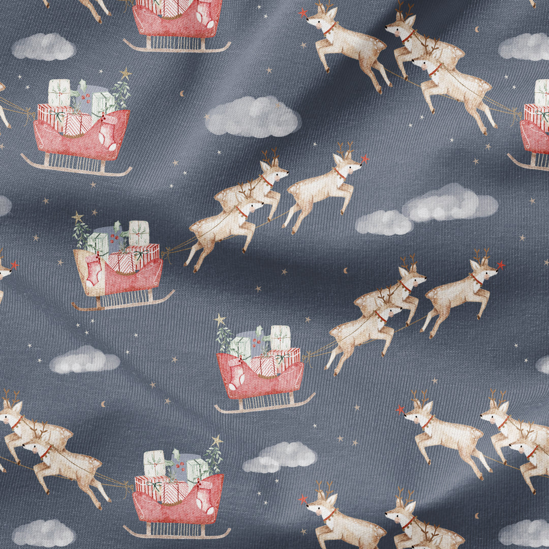 SANTA'S REINDEER