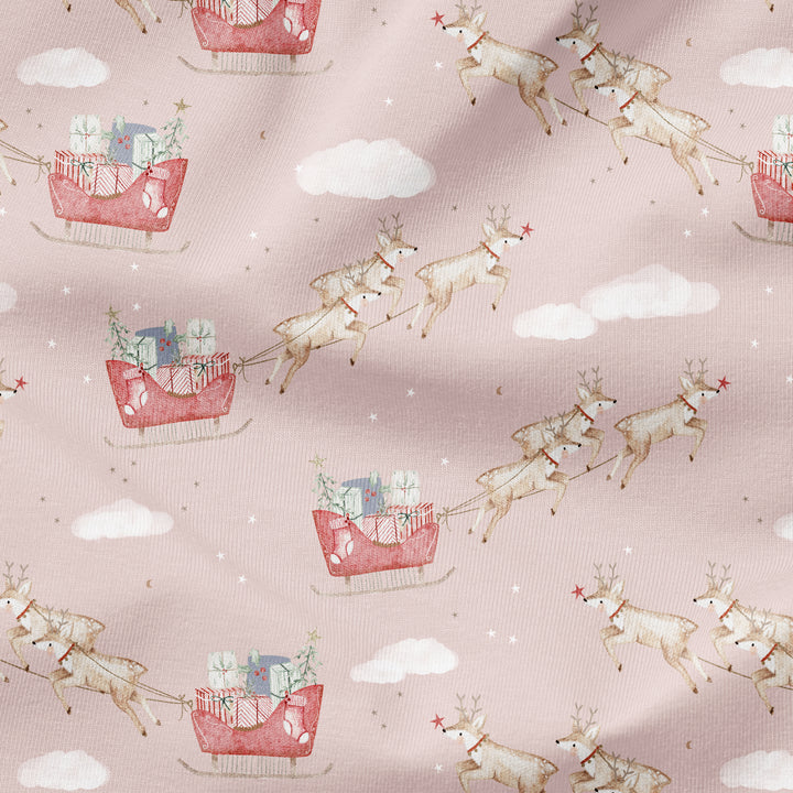 SANTA'S REINDEER