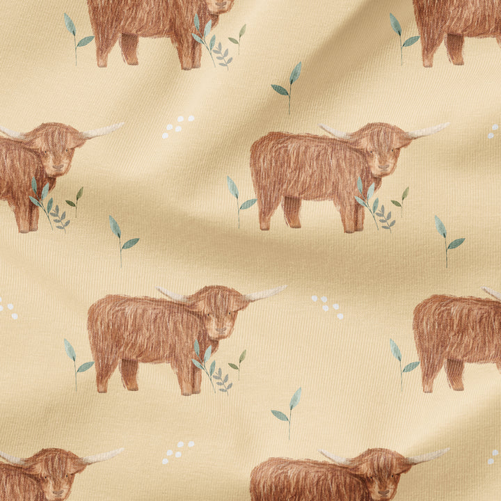 HIGHLAND COW