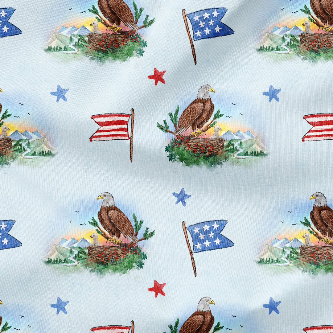 BALD EAGLE MAMA & EAGLET