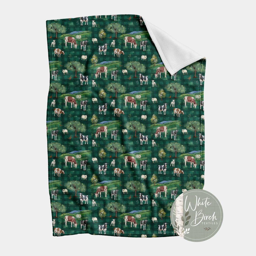 EARLY GRAZERS  FINISHED BLANKET