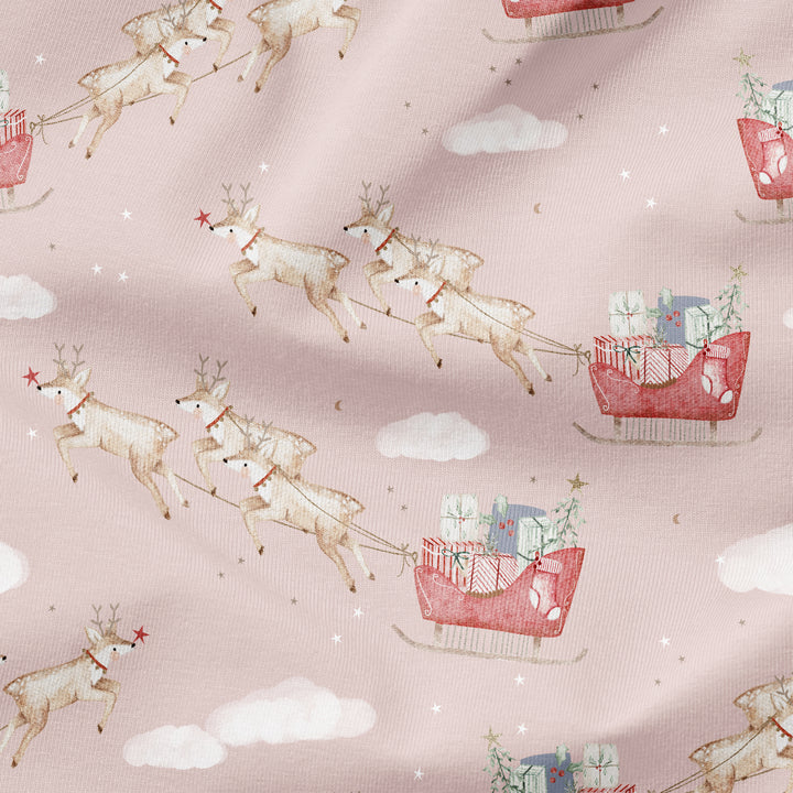SANTA'S REINDEER