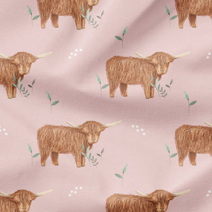 HIGHLAND COW