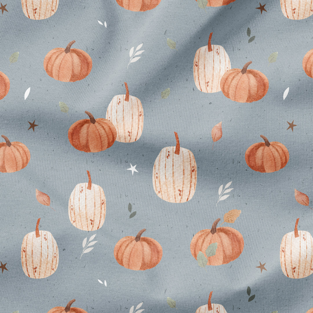 HARVEST PUMPKIN PATCH