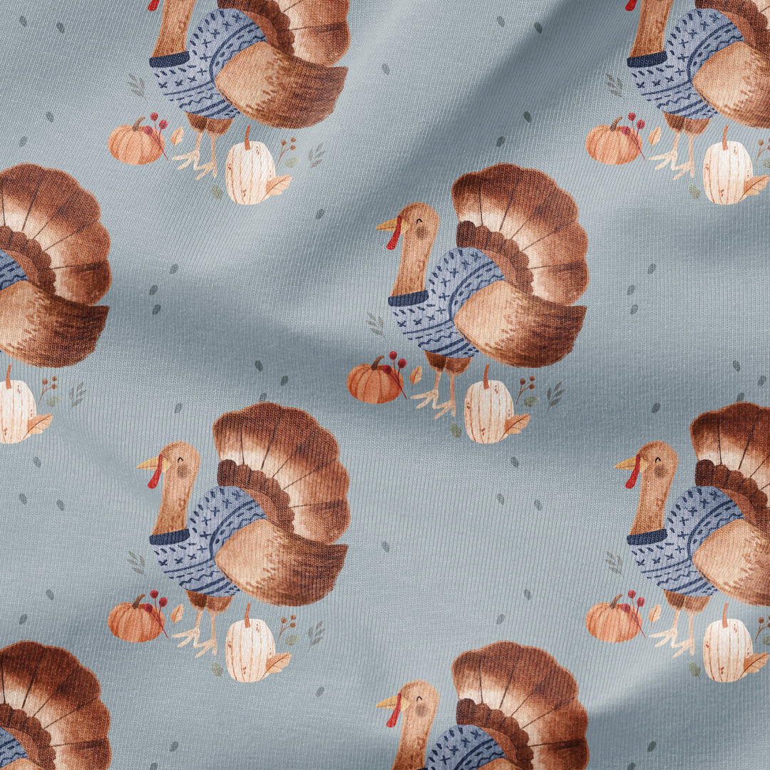 COZY HARVEST TURKEY