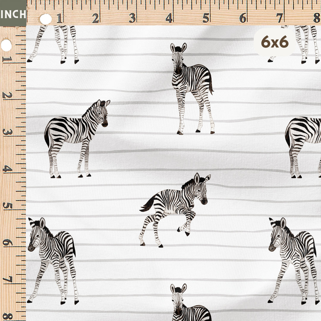 BABY ZEBRA