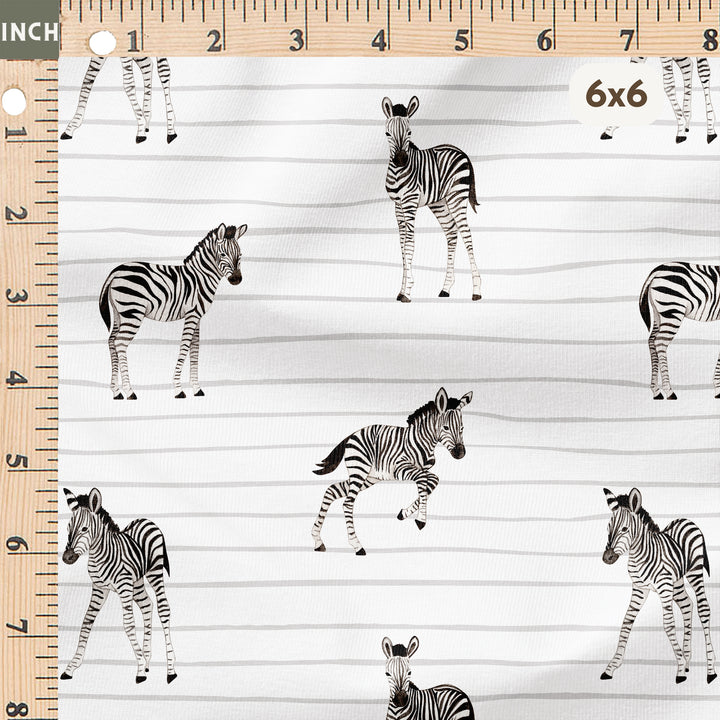 BABY ZEBRA