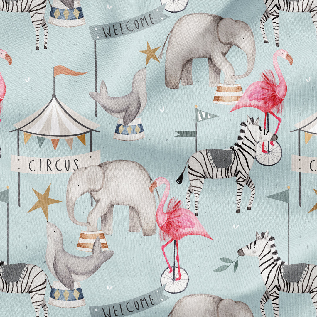 BARNUM CIRCUS