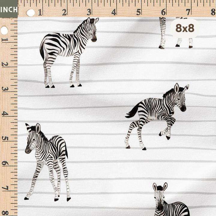 BABY ZEBRA