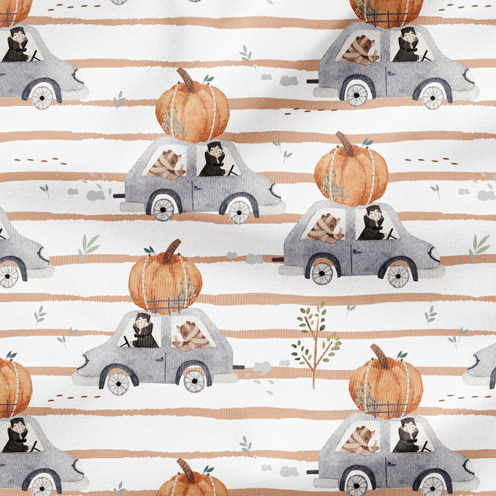 SPOOKY RIDE