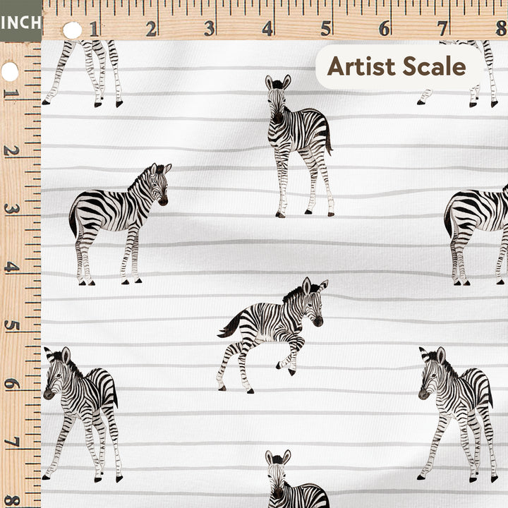 BABY ZEBRA