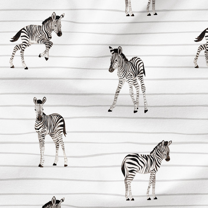 BABY ZEBRA