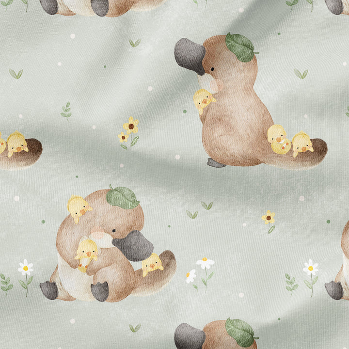 SPRING PLATYPUS & DUCKLINGS