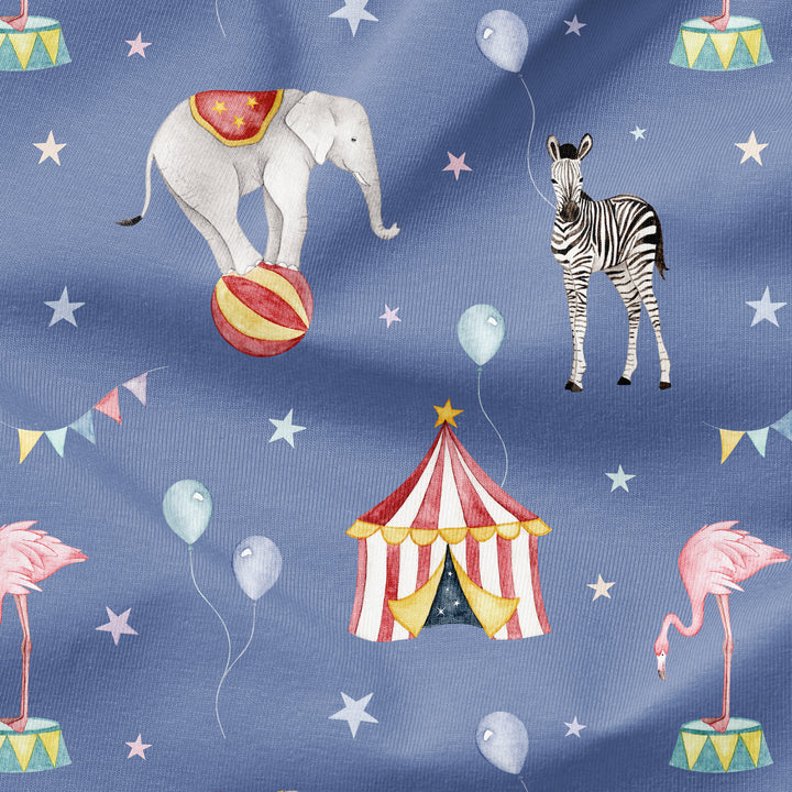 CIRCUS
