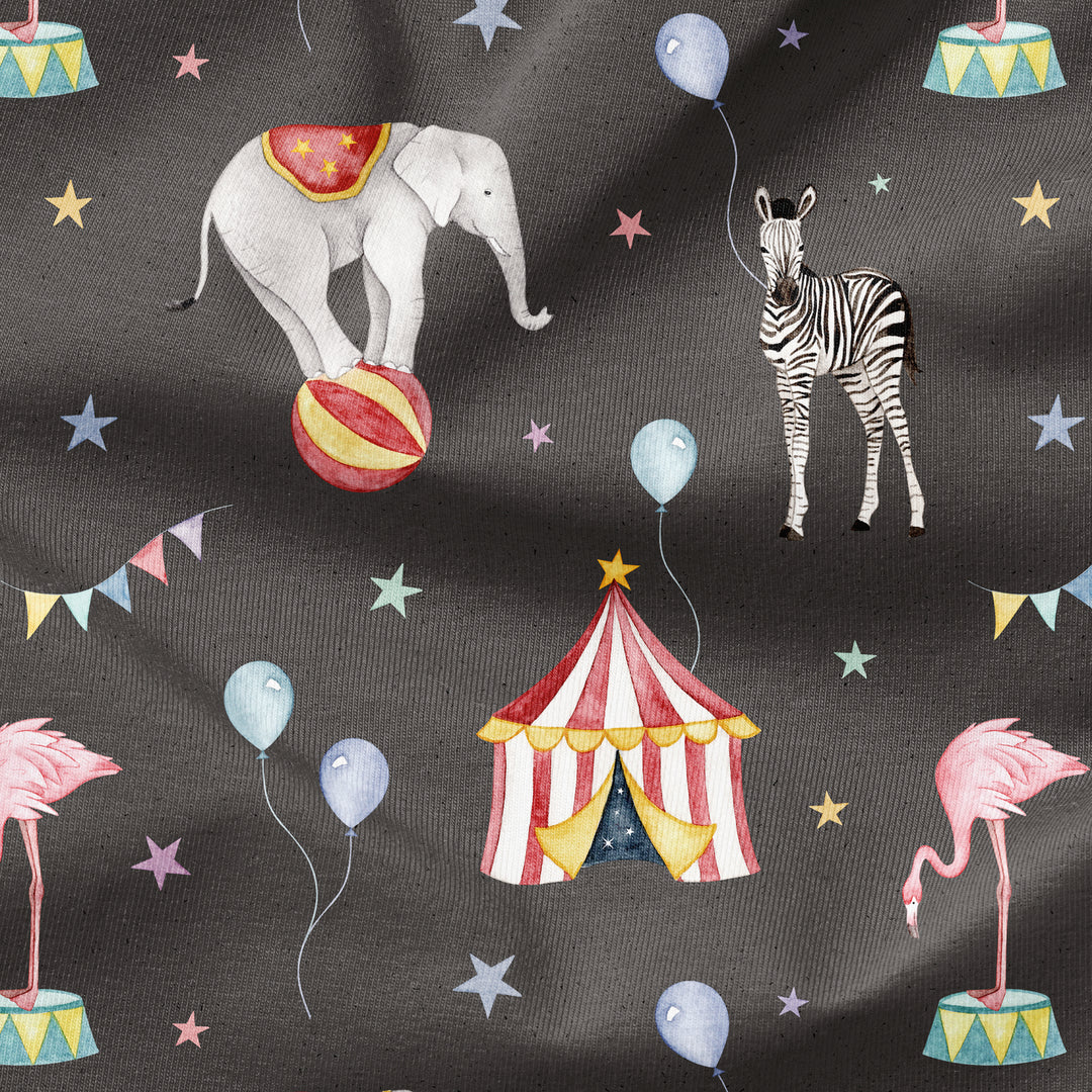 CIRCUS