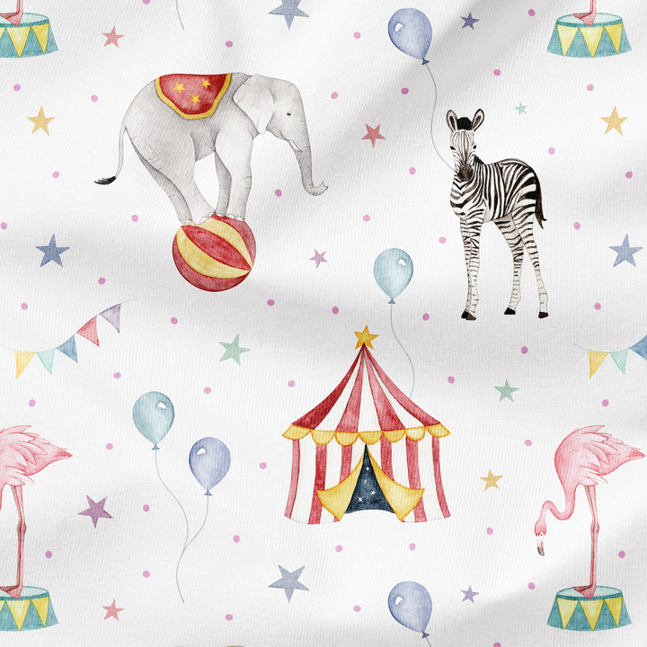 CIRCUS