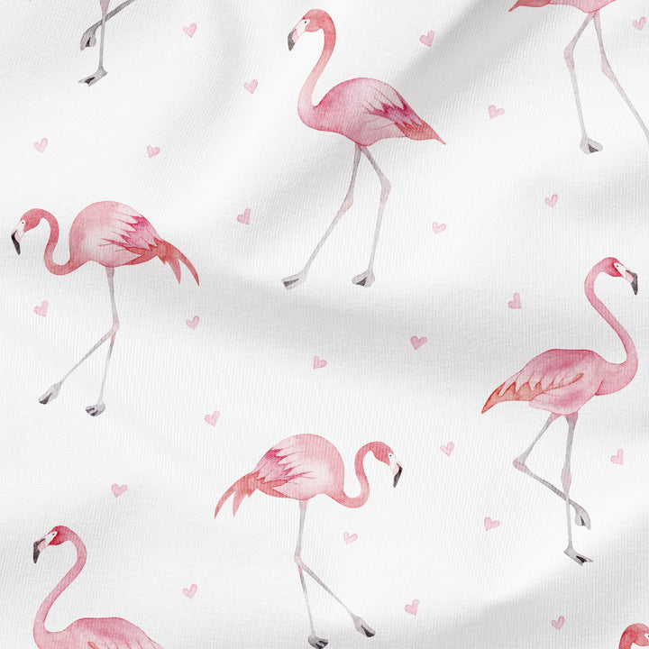 DAINTY FLAMINGO