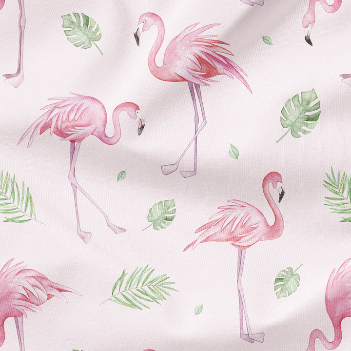 FLAMINGOS IN THE TROPICS