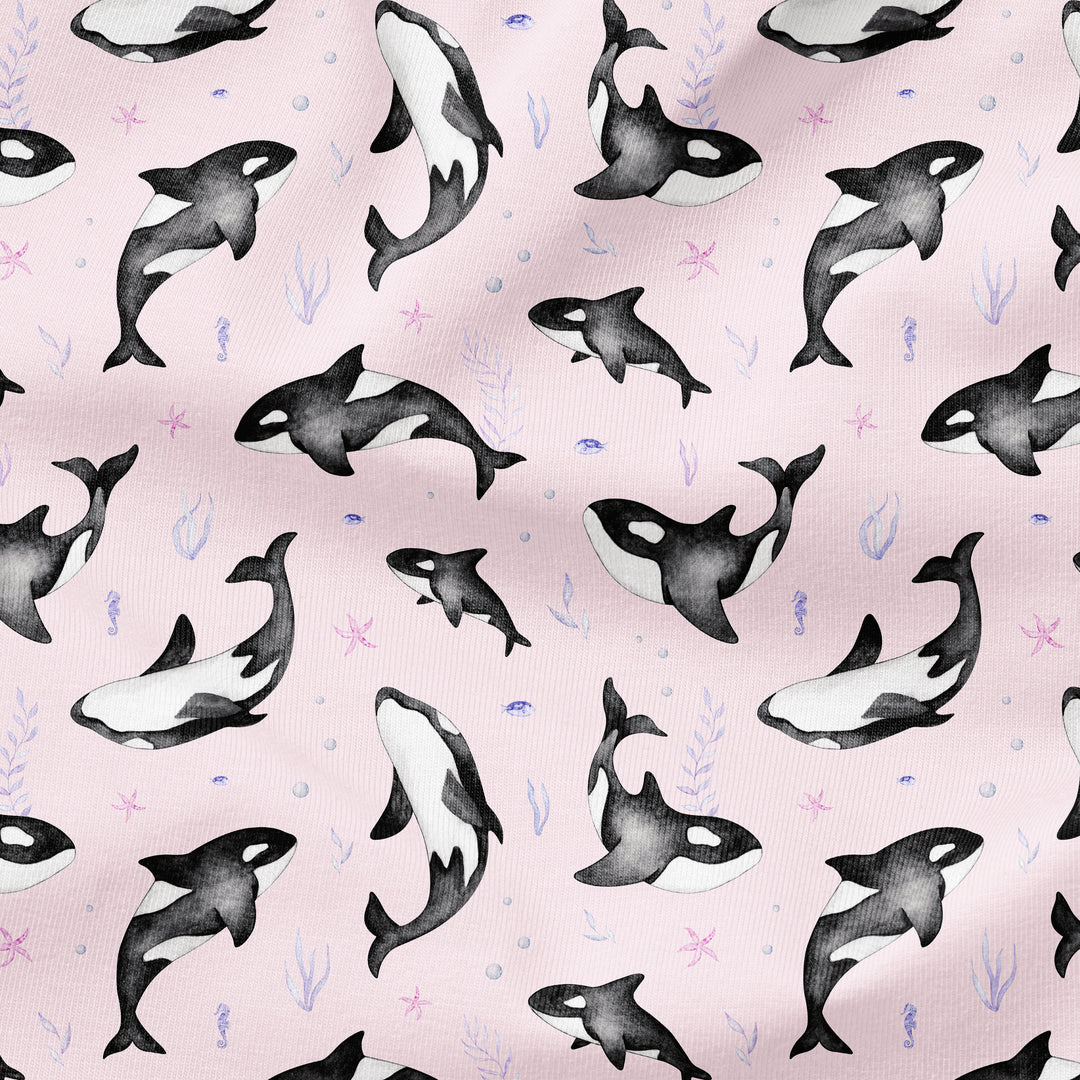 ORCA WHALES