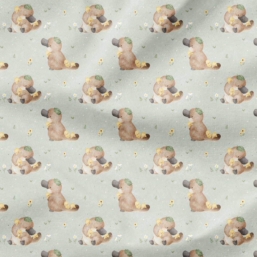 SPRING PLATYPUS & DUCKLINGS