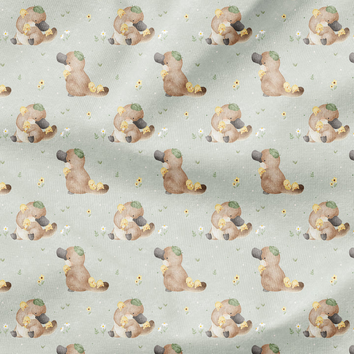 SPRING PLATYPUS & DUCKLINGS