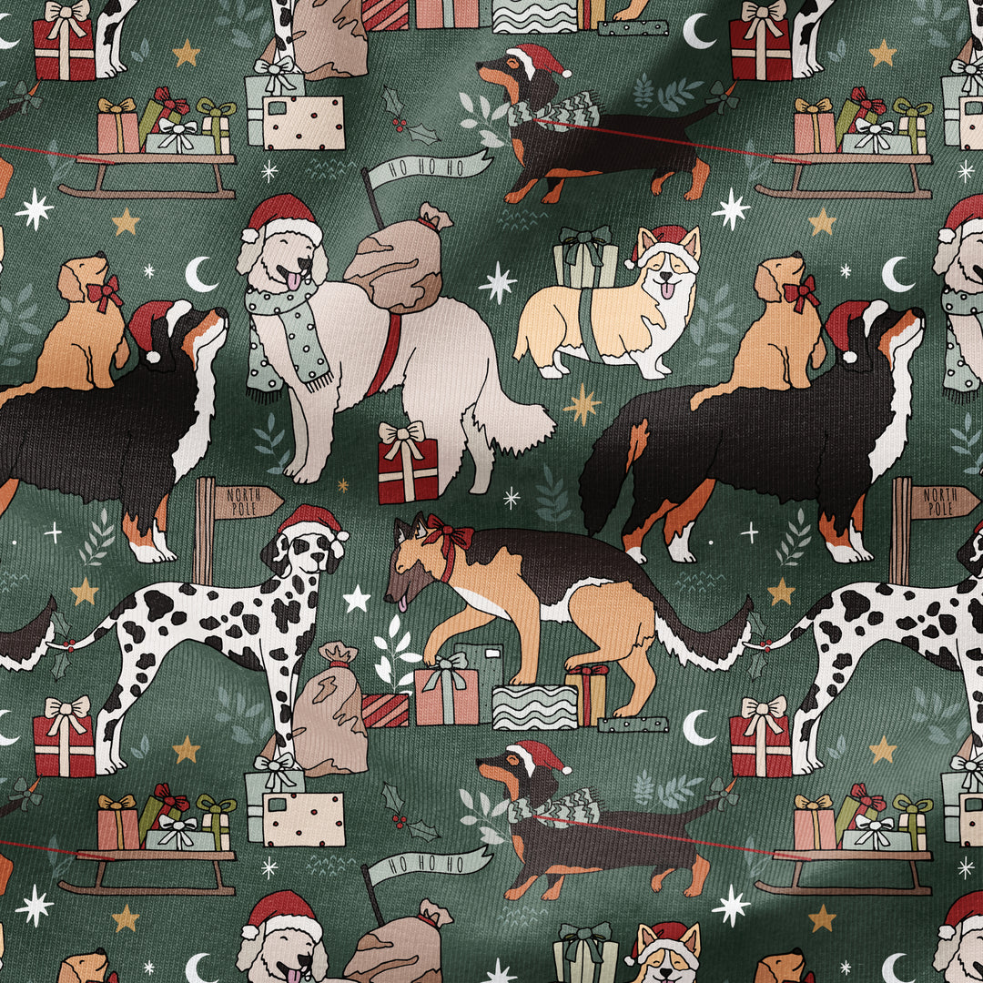SANTA PAWS