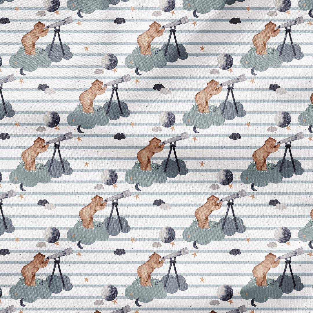 STARGAZER BEAR