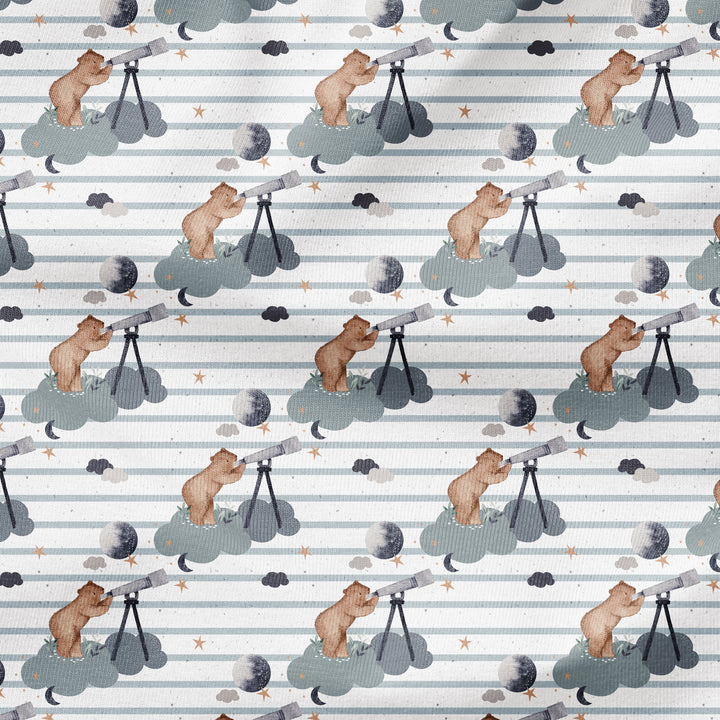 STARGAZER BEAR