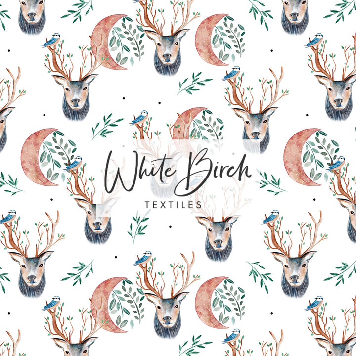 SPRING BUCK