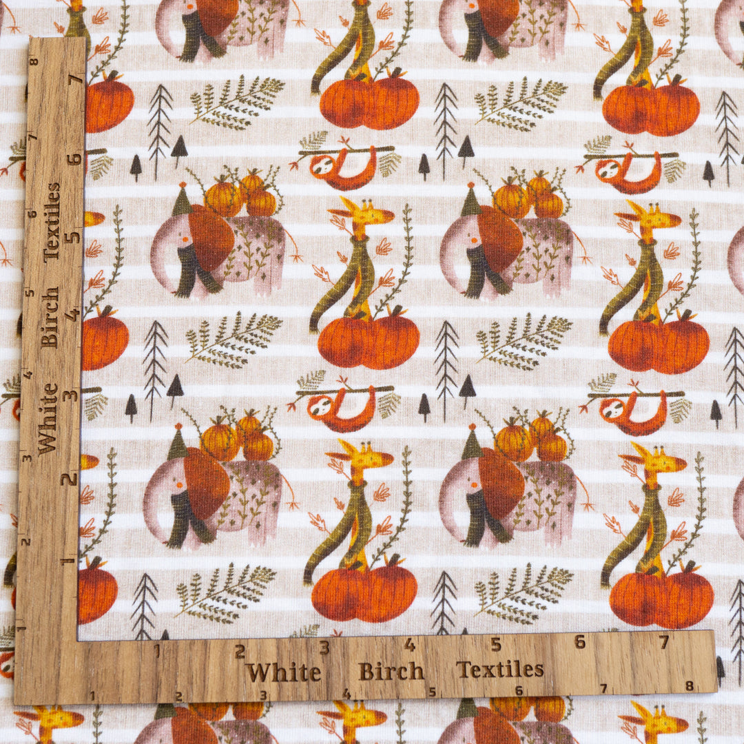 COZY SAFARI PUMPKIN PATCH - BAMBOO FRENCH TERRY