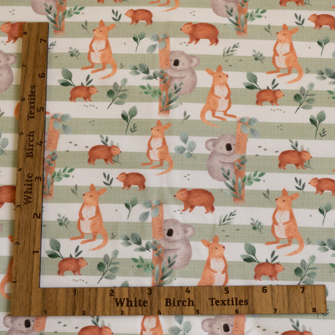 AUZ (SAGE STRIPE) - ORGANIC COTTON SPANDEX