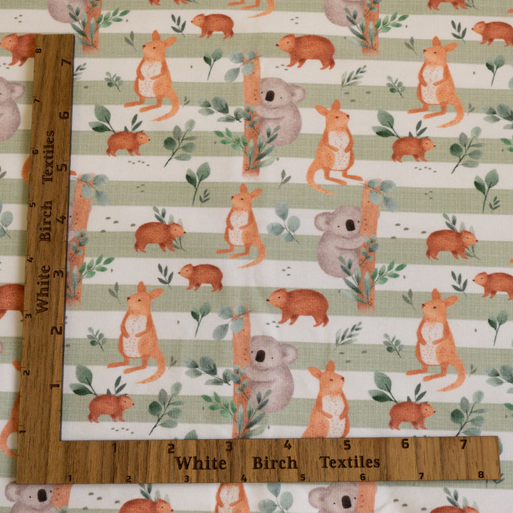 AUZ (SAGE STRIPE) - ORGANIC COTTON SPANDEX