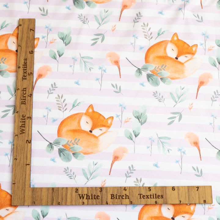 FOX (LAVENDER STRIPED) - DBP