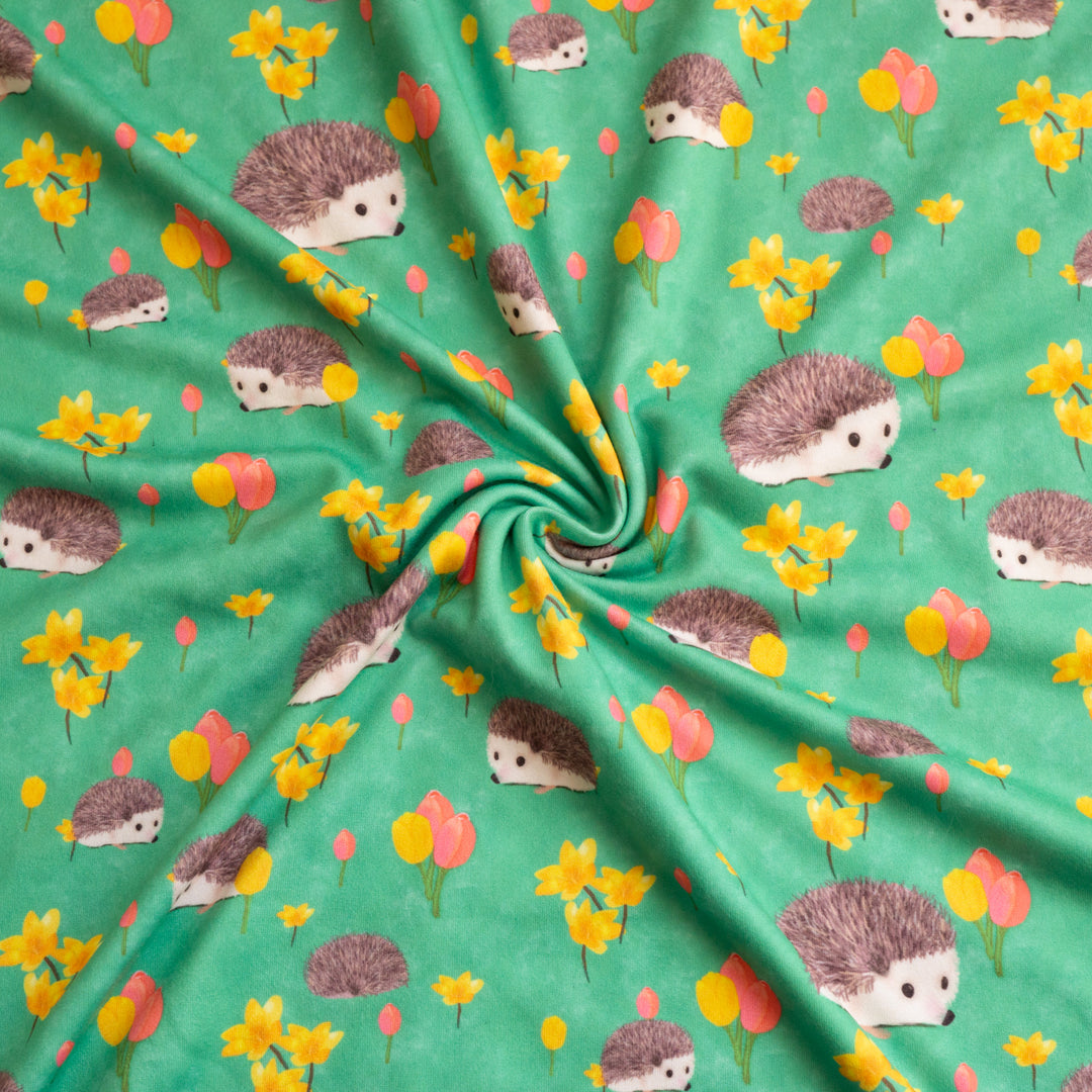 SPRING HEDGEHOG - DBP