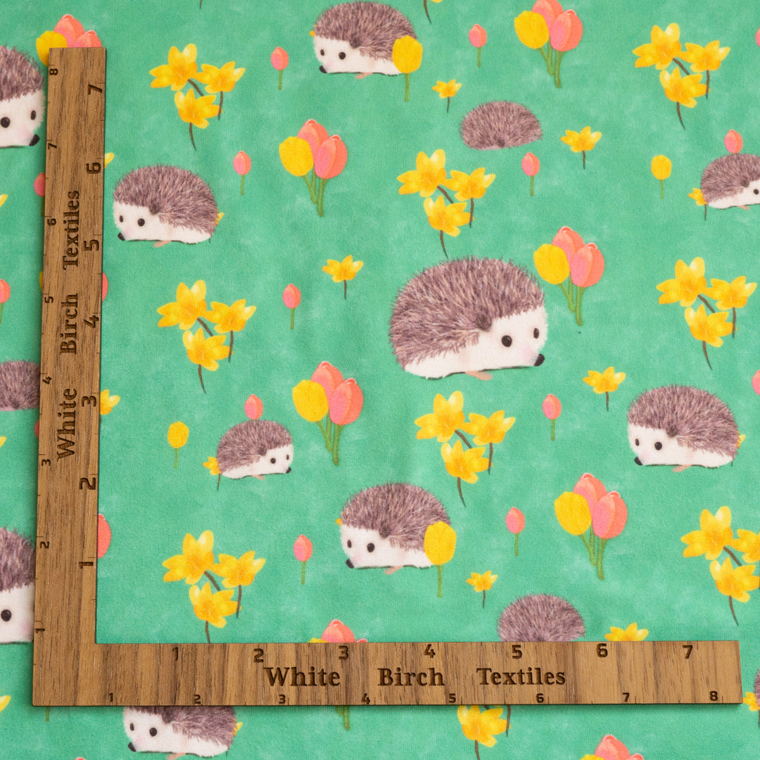 SPRING HEDGEHOG - DBP