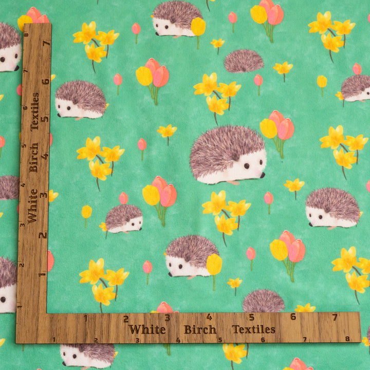 SPRING HEDGEHOG - DBP